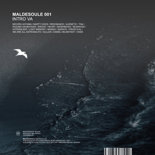 VA - Maldesoule 001 [MASL001]